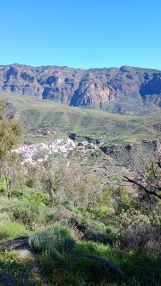 GC-Mirador Las Tirajanas (Tunte) 2026-19.jpg